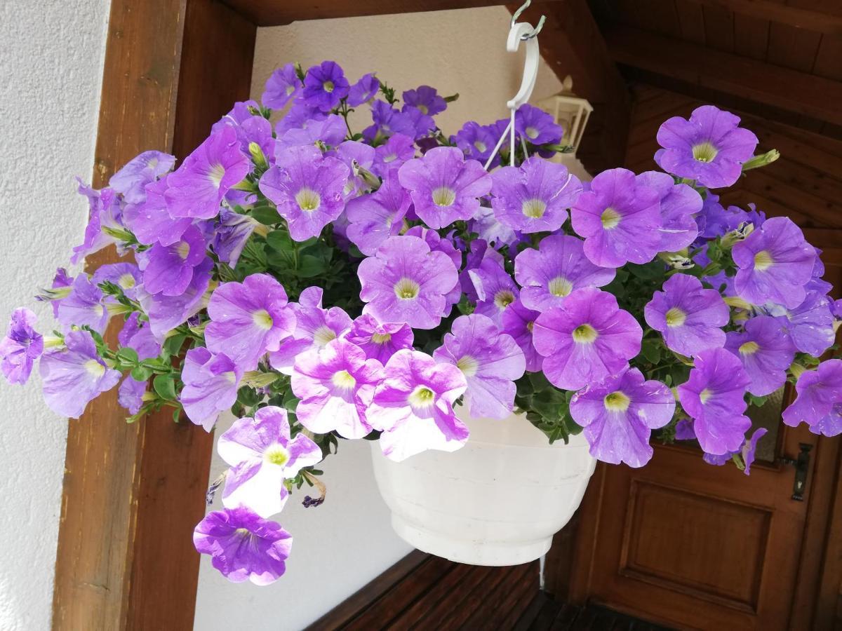 Haus Annemarie Apartments Kartitsch - Hochpustertal ภายนอก รูปภาพ