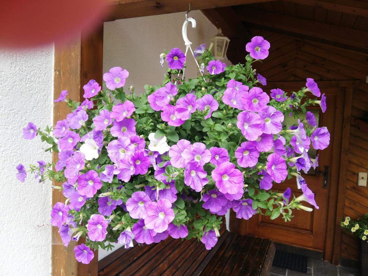 Haus Annemarie Apartments Kartitsch - Hochpustertal ภายนอก รูปภาพ