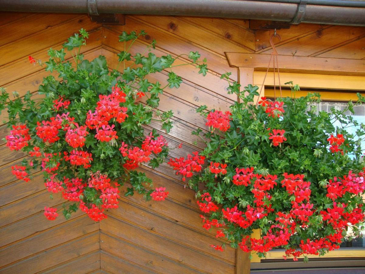 Haus Annemarie Apartments Kartitsch - Hochpustertal ภายนอก รูปภาพ